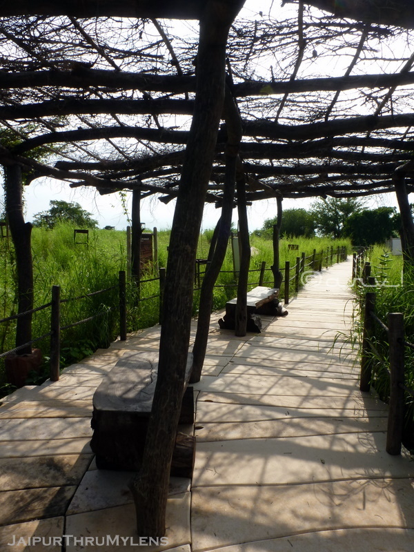 kishan-bagh-jaipur-sand-dunes-hiden-gem