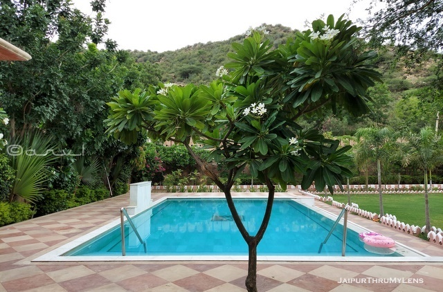 best-hotel-resort-shekhawati-rajasthan-inderpura-swimming-pool
