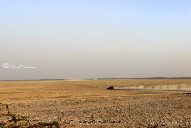 sabhar-salt-lake-area-rajasthan