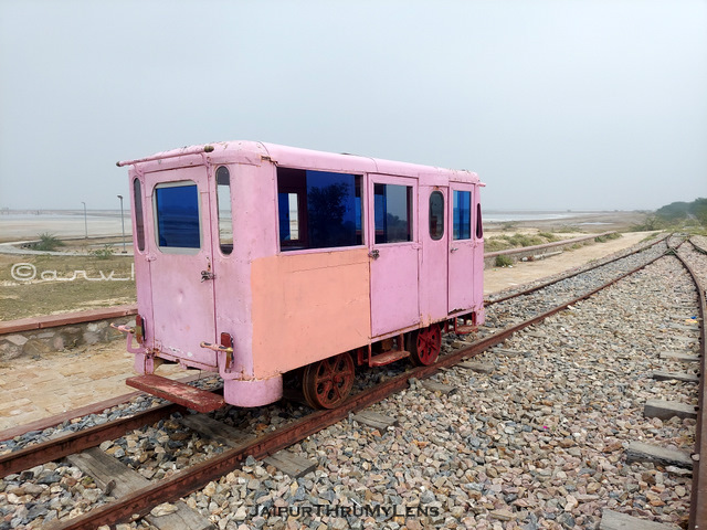 sambhar-lake-train-migratory-bird-watching