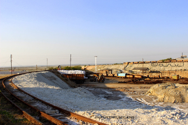 sambhar-salts-limited-salt-production