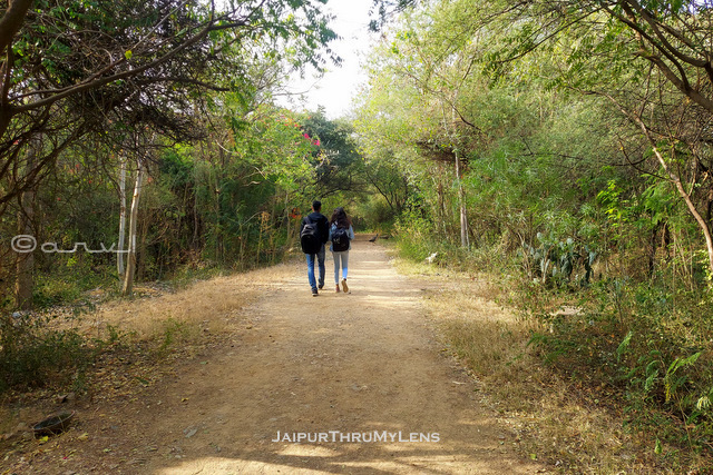 best-place-for-couples-jaipur-smriti-van