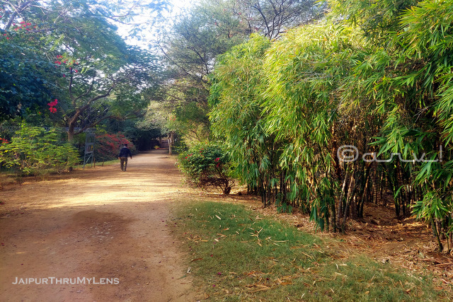 kulish-smriti-van-park-jaipur-timings