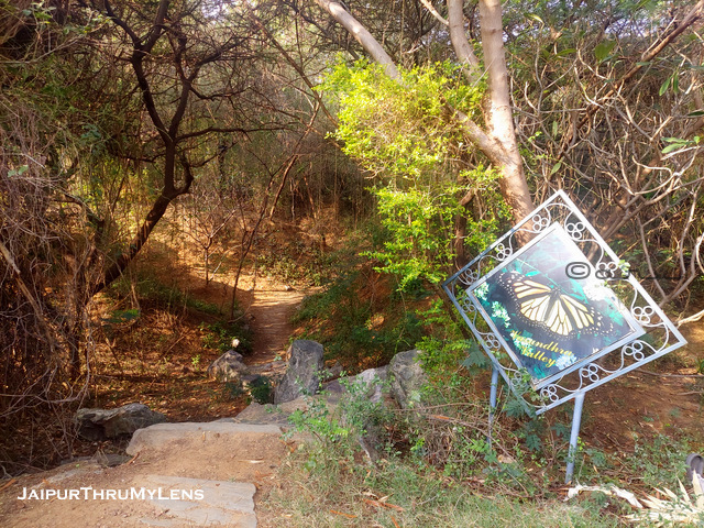 romantic-private-place-for-couples-jaipur-smriti-van