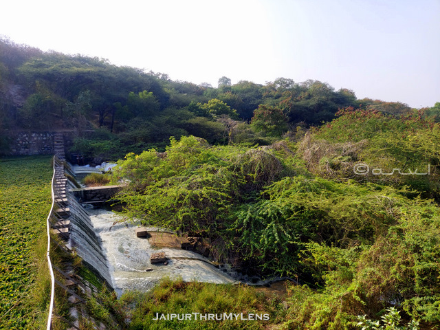 stp-plant-jaipur-smriti-van-jhalana-institutional-area