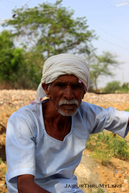 portrait-man-meena-caste-rajasthan-origin-dausa