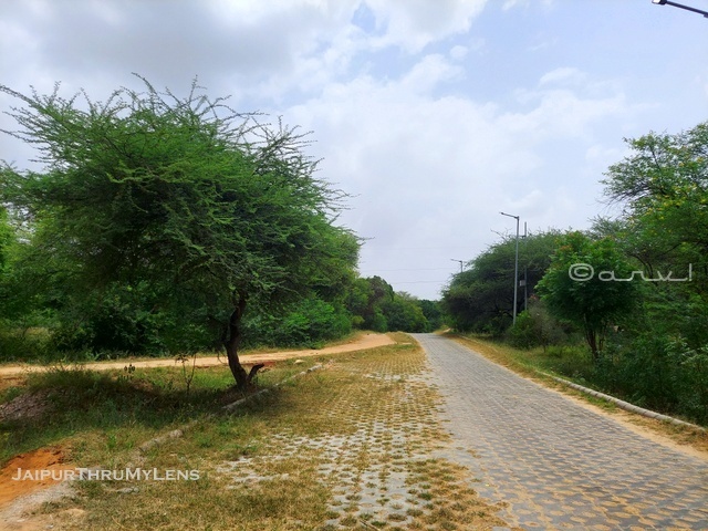 elephant-activities-jaipur-hathi-gaon-review