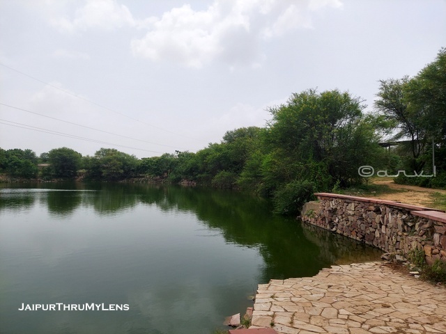 elephant-sanctuary-jaipur-hathi-gaon-pond