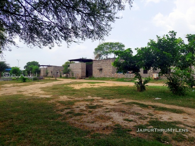 elephant-sanctuary-jaipur-hathi-gaon-safari-price