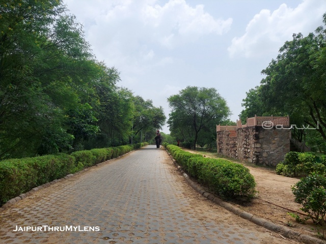 elephant-village-jaipur-ticket-price-hathi-gaon