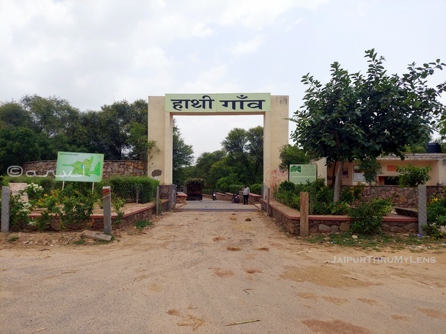hathi-gaon-elephant-village-jaipur