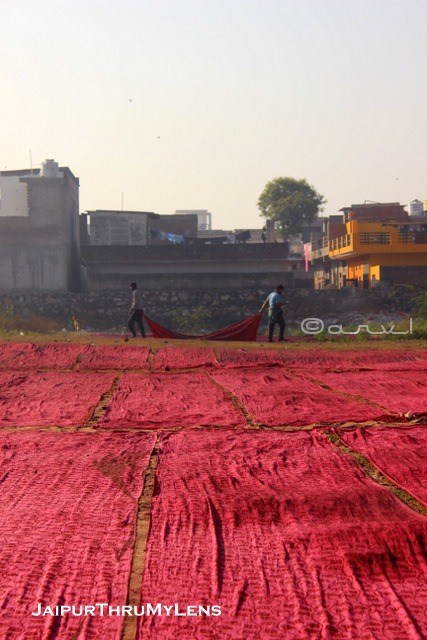 bagru-village-tour-print-saree-jaipur