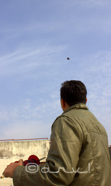 kite-flyers-festival-jaipur-rajasthan