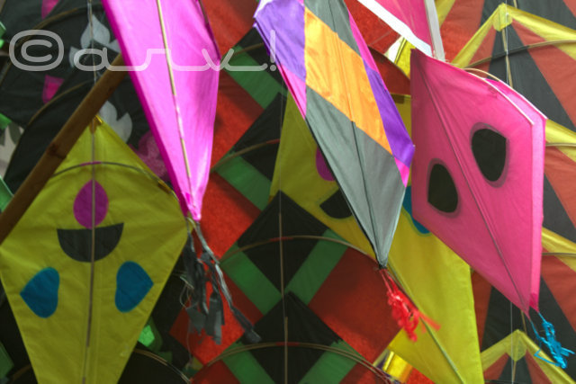 makar-sakranti-jaipur-kite-flying-festival