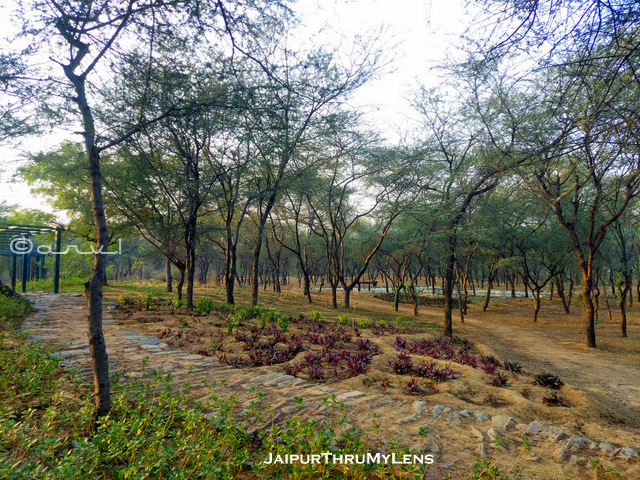 Sylvan-Biodiversity-Forest-jaipur
