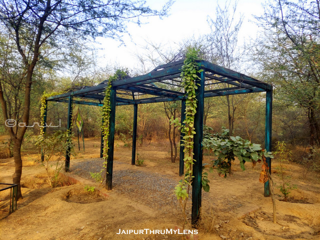 sylvan-forest-park-jaipur-sumel-road