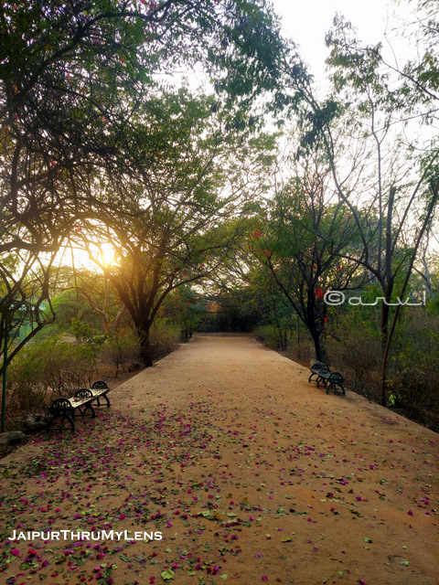 sylvan-park-forest-jaipur-timing