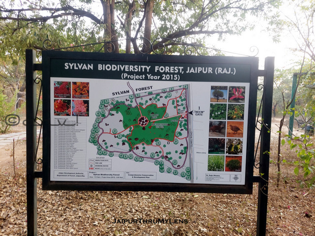 sylvan-park-jaipur-sumel-agra-road