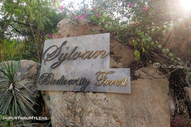 sylvan-park-jaipur-vasundra-raje