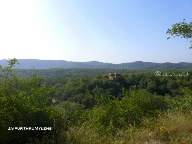 hidden-place-jaipur-tiger-hunting-shikaar-oudhi