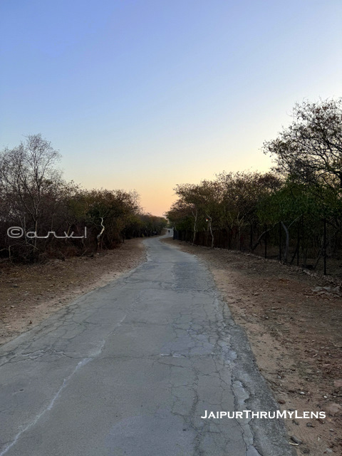 chulgiri-jain-temple-jaipur-distance