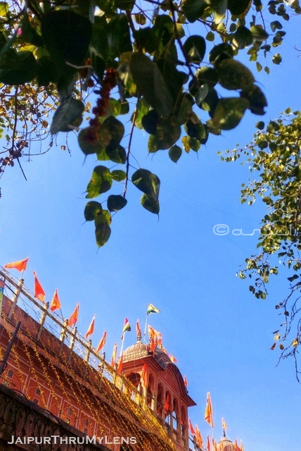 guided-jaipur-walking-tour-old-city