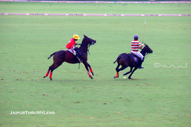 sawai-padmanabh-singh-polo-jaipur-tournament